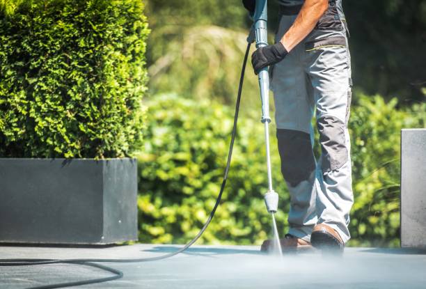 Best Fence Cleaning  in Munday, TX