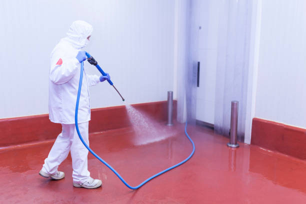 Best Paint Preparation  in Munday, TX